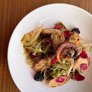 GRILLED OCTOPUS